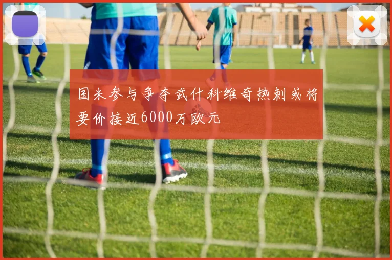 国米参与争夺武什科维奇热刺或将要价接近6000万欧元