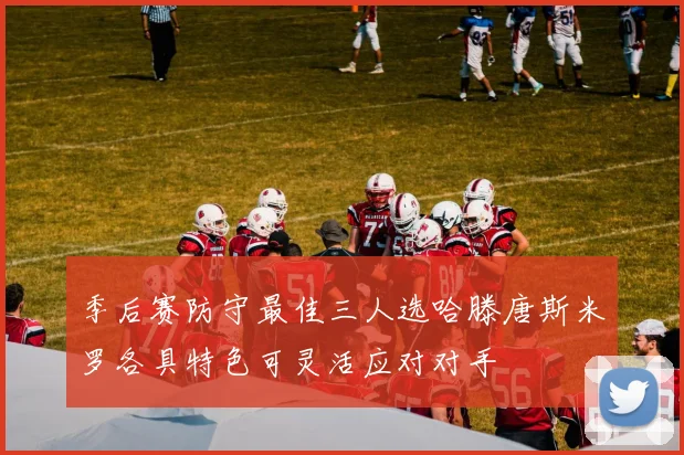 季后赛防守最佳三人选哈滕唐斯米罗各具特色可灵活应对对手