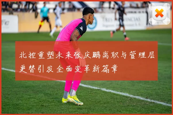 北控重塑未来张庆鹏离职与管理层更替引发全面变革新篇章